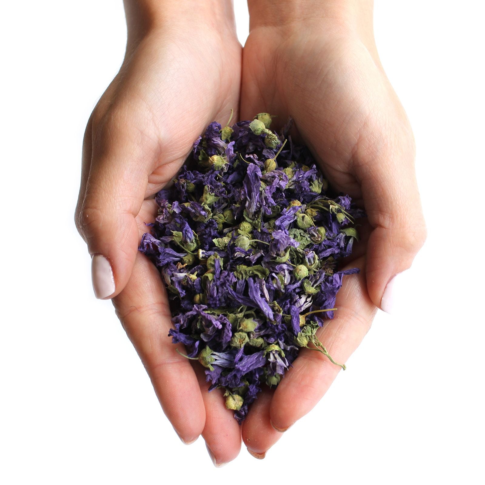 Blue Mallow Flowers Whole - Dried Herbal Tea 500g