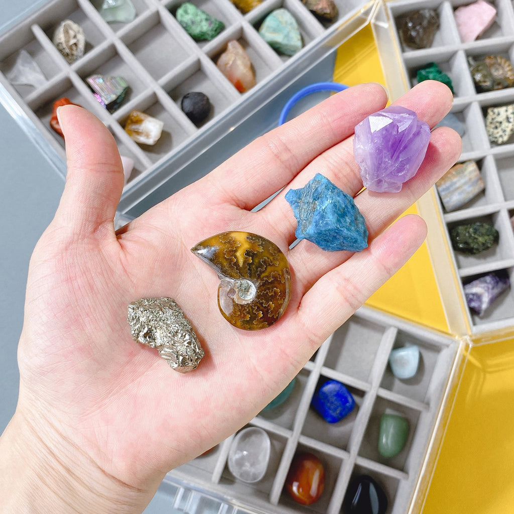 Natural Crystal Raw Stone Specimen Box - Children's Gem Collection Kit